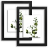 image:imageGolden State Art 11x14 Floating Picture Frame Solid Wood Black2 Pack  Pressed Flower Frame Tempered Glass Front Plexiglass Backdisplay Photo 5x7 to 11x14wall mountingdual hanging orientationBlack