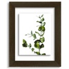 image:imageGolden State Art 11x14 Floating Picture Frame Solid Wood Black2 Pack  Pressed Flower Frame Tempered Glass Front Plexiglass Backdisplay Photo 5x7 to 11x14wall mountingdual hanging orientationDark Brown