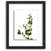 image:imageGolden State Art 11x14 Floating Picture Frame Solid Wood Black2 Pack  Pressed Flower Frame Tempered Glass Front Plexiglass Backdisplay Photo 5x7 to 11x14wall mountingdual hanging orientationBlack