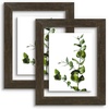 image:imageGolden State Art 11x14 Floating Picture Frame Solid Wood Black2 Pack  Pressed Flower Frame Tempered Glass Front Plexiglass Backdisplay Photo 5x7 to 11x14wall mountingdual hanging orientationDark Brown
