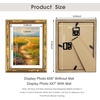 image:imageGolden State Art 11x14 Gold Vintage Bamboo Frame for 8x10 PhotoSolid Wood  Fit For 14x11 Picture Without Mat Real GlassGold 1 Pack3 Pack