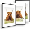 image:imageGolden State Art 11x14 Picture Frame for 8x10 Pictures PlasticPlexiglass  Fits 8x10 with MatFits 11x14 without Mat Horizontal or Vertical Display Wall Mount Display Thin Border Gold 3 PackBlack