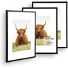 image:imageGolden State Art 11x14 Picture Frame for 8x10 Pictures PlasticPlexiglass  Fits 8x10 with MatFits 11x14 without Mat Horizontal or Vertical Display Wall Mount Display Thin Border Gold 3 PackBlack