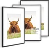 image:imageGolden State Art 11x14 Picture Frame for 8x10 Pictures PlasticPlexiglass  Fits 8x10 with MatFits 11x14 without Mat Horizontal or Vertical Display Wall Mount Display Thin Border Gold 3 PackBlack