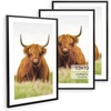 image:imageGolden State Art 11x14 Picture Frame for 8x10 Pictures PlasticPlexiglass  Fits 8x10 with MatFits 11x14 without Mat Horizontal or Vertical Display Wall Mount Display Thin Border Gold 3 PackBlack