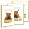image:imageGolden State Art 11x14 Picture Frame for 8x10 Pictures PlasticPlexiglass  Fits 8x10 with MatFits 11x14 without Mat Horizontal or Vertical Display Wall Mount Display Thin Border Gold 3 PackGold
