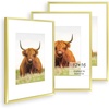 image:imageGolden State Art 11x14 Picture Frame for 8x10 Pictures PlasticPlexiglass  Fits 8x10 with MatFits 11x14 without Mat Horizontal or Vertical Display Wall Mount Display Thin Border Gold 3 PackGold