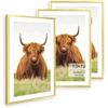 image:imageGolden State Art 11x14 Picture Frame for 8x10 Pictures PlasticPlexiglass  Fits 8x10 with MatFits 11x14 without Mat Horizontal or Vertical Display Wall Mount Display Thin Border Gold 3 PackGold
