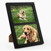 image:imageGolden State Art 4x6 Double Picture Frame Displays Two 4x6 Photos Brown  Solid Wood  Real Glass For Tabletop Or Wall Mounting Brown 1 PackBlack
