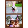 image:imageGolden State Art 4x6 Double Picture Frame Displays Two 4x6 Photos Brown  Solid Wood  Real Glass For Tabletop Or Wall Mounting Brown 1 PackBrown