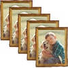 image:imageGolden State Art 6x8 Picture Frame Rustic BrownSolid WoodampBark EdgeampGlass  6x8 Picture Frame with Real Glass Cover Display PostersPhotosPrints for Wall Mounting Farmhouse Decor 1 Pack5 Pack