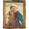 image:imageGolden State Art 6x8 Picture Frame Rustic BrownSolid WoodampBark EdgeampGlass  6x8 Picture Frame with Real Glass Cover Display PostersPhotosPrints for Wall Mounting Farmhouse Decor 1 Pack1 Pack