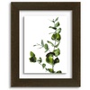 image:imageGolden State Art 11x14 Floating Picture Frame Solid Wood Black2 Pack  Pressed Flower Frame Tempered Glass Front Plexiglass Backdisplay Photo 5x7 to 11x14wall mountingdual hanging orientationDark Brown
