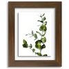 image:imageGolden State Art 11x14 Floating Picture Frame Solid Wood Black2 Pack  Pressed Flower Frame Tempered Glass Front Plexiglass Backdisplay Photo 5x7 to 11x14wall mountingdual hanging orientationBrown