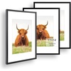image:imageGolden State Art 11x14 Picture Frame for 8x10 Pictures PlasticPlexiglass  Fits 8x10 with MatFits 11x14 without Mat Horizontal or Vertical Display Wall Mount Display Thin Border Gold 3 PackBlack