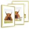 image:imageGolden State Art 11x14 Picture Frame for 8x10 Pictures PlasticPlexiglass  Fits 8x10 with MatFits 11x14 without Mat Horizontal or Vertical Display Wall Mount Display Thin Border Gold 3 PackGold