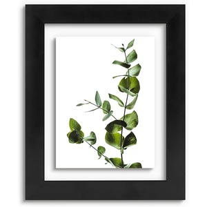 image:imageGolden State Art 11x14 Floating Picture Frame Solid Wood Black2 Pack  Pressed Flower Frame Tempered Glass Front Plexiglass Backdisplay Photo 5x7 to 11x14wall mountingdual hanging orientationBlack
