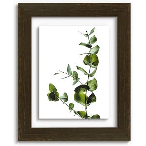 image:imageGolden State Art 11x14 Floating Picture Frame Solid Wood Black2 Pack  Pressed Flower Frame Tempered Glass Front Plexiglass Backdisplay Photo 5x7 to 11x14wall mountingdual hanging orientationDark Brown