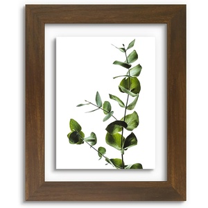 image:imageGolden State Art 11x14 Floating Picture Frame Solid Wood Black2 Pack  Pressed Flower Frame Tempered Glass Front Plexiglass Backdisplay Photo 5x7 to 11x14wall mountingdual hanging orientationBrown