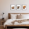 image:imageGolden State Art 11x14 Black Picture FrameSolid WoodampReal GlassMat 8x10  1 Pack 11x14 Wooden Photo Frame White Mat Display for 8x10 Picture Horizontal and Vertical Wall Mounting Home DecorGrey