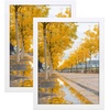 image:imageGolden State Art 11x14 Black Picture FrameSolid WoodampReal GlassMat 8x10  1 Pack 11x14 Wooden Photo Frame White Mat Display for 8x10 Picture Horizontal and Vertical Wall Mounting Home DecorWhite