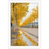 image:imageGolden State Art 11x14 Black Picture FrameSolid WoodampReal GlassMat 8x10  1 Pack 11x14 Wooden Photo Frame White Mat Display for 8x10 Picture Horizontal and Vertical Wall Mounting Home DecorWhite