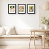 image:imageGolden State Art 11x14 Picture Frame WhiteSolid WoodampReal GlassMat 8x10  2 Pack 11x14 Photo Frames White Mat Display for 8x10 Picture Horizontal and Vertical Wall MountingBlack
