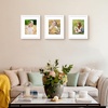 image:imageGolden State Art 11x14 Picture Frame WhiteSolid WoodampReal GlassMat 8x10  2 Pack 11x14 Photo Frames White Mat Display for 8x10 Picture Horizontal and Vertical Wall MountingWhite
