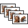 image:imageGolden State Art 12x19 Black Wood Picture Frame  Displays Two 8x10 Photos  1 PackWhite Mat IncludedSolid Wood Real Glass Sawtooth Hanger Swivel Tabs  Wall Mounting  Great for Collages WeddingsBlack