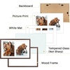 image:imageGolden State Art 12x19 Black Wood Picture Frame  Displays Two 8x10 Photos  1 PackWhite Mat IncludedSolid Wood Real Glass Sawtooth Hanger Swivel Tabs  Wall Mounting  Great for Collages WeddingsDistressed Brown