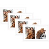 image:imageGolden State Art 12x19 Black Wood Picture Frame  Displays Two 8x10 Photos  1 PackWhite Mat IncludedSolid Wood Real Glass Sawtooth Hanger Swivel Tabs  Wall Mounting  Great for Collages WeddingsWhite