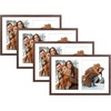 image:imageGolden State Art 12x19 Black Wood Picture Frame  Displays Two 8x10 Photos  1 PackWhite Mat IncludedSolid Wood Real Glass Sawtooth Hanger Swivel Tabs  Wall Mounting  Great for Collages WeddingsDistressed Brown