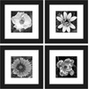 image:imageGolden State Art 6x6 Picture Frame GreySolid WoodampReal GlassMat 4x4  3 Pack 6x6 Square Photo Frames White Mat Display for 4x4 Picture Horizontal and Vertical Wall Mounting DecorBlack